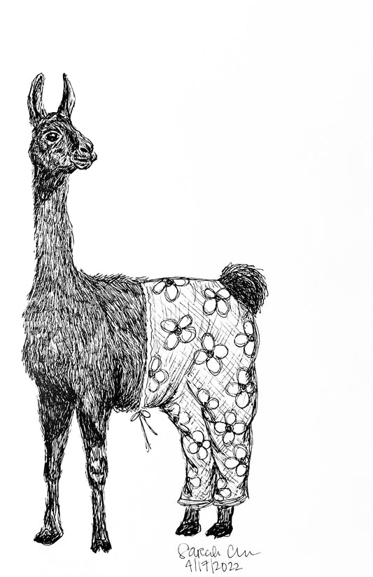 Animals in pants - Llama in pajama pants Fine Art Print